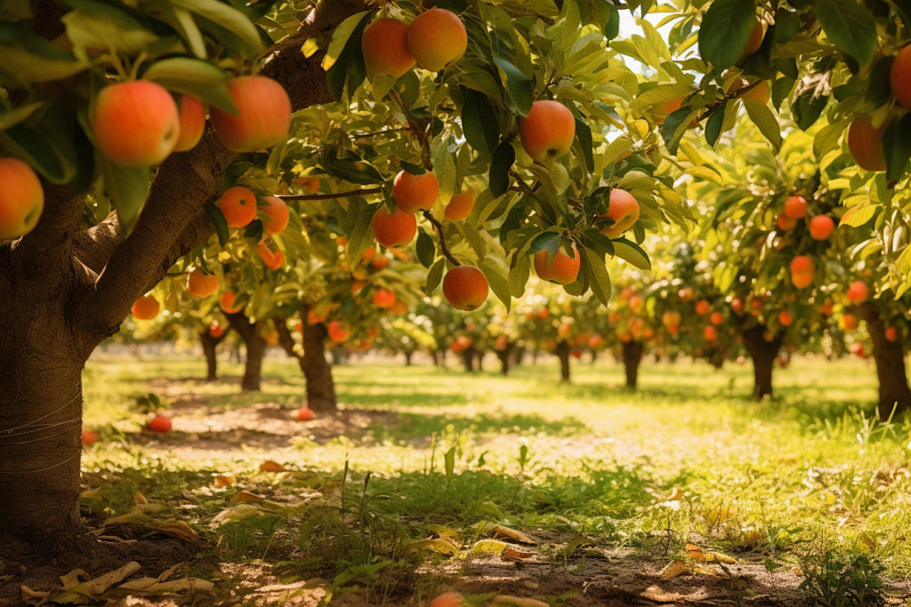我们有专业的团队，一流的服务。